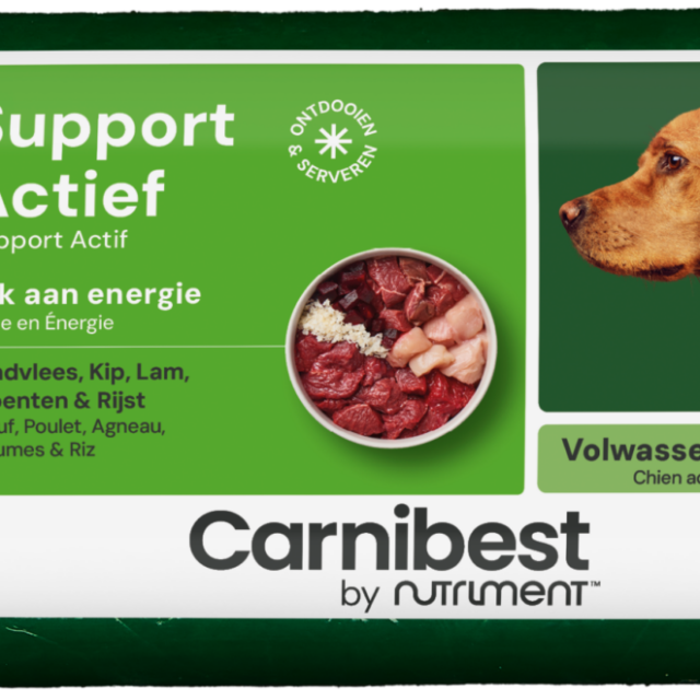 carnibest support actief