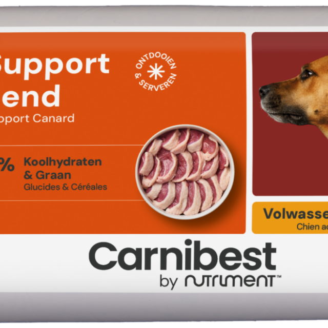 Carnibest Support Eend