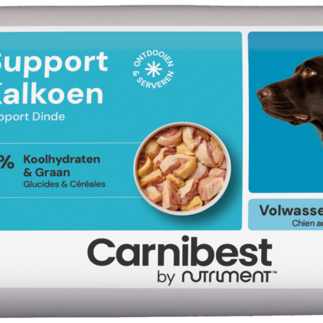 Support Kalkoen