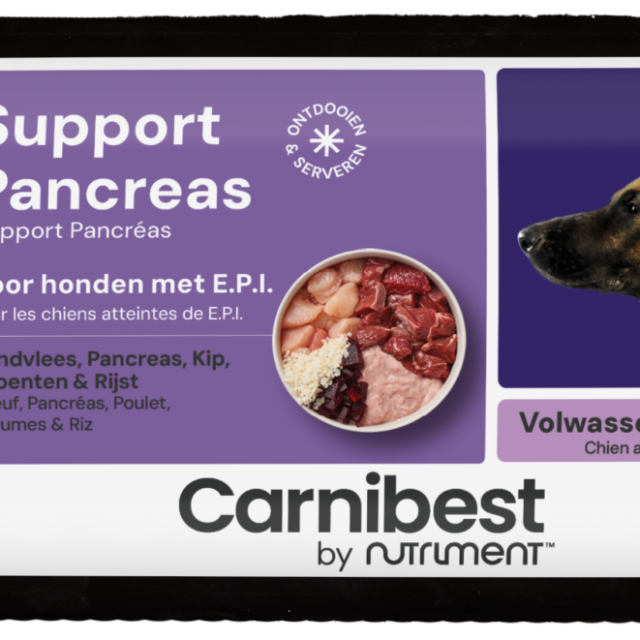 Support Pancreas